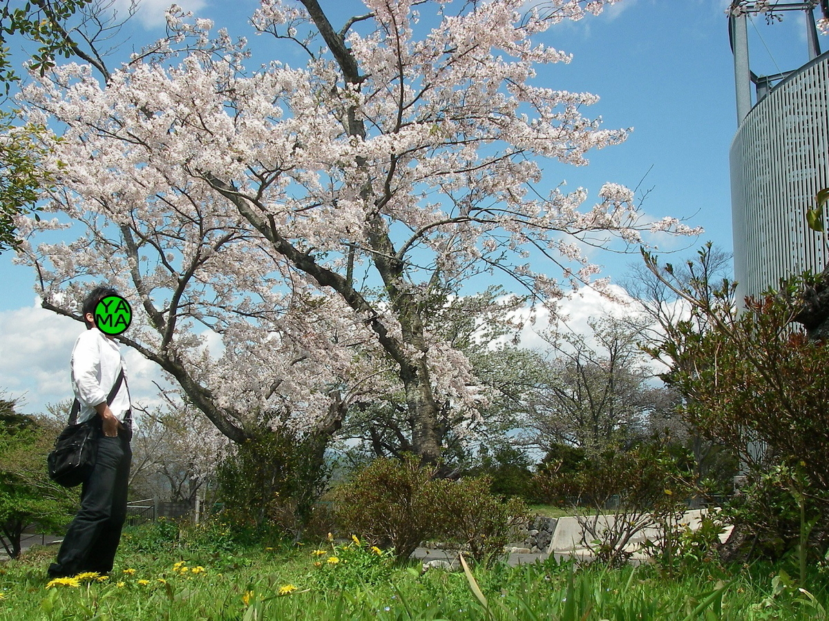 f:id:yama31183:20220323221441j:plain