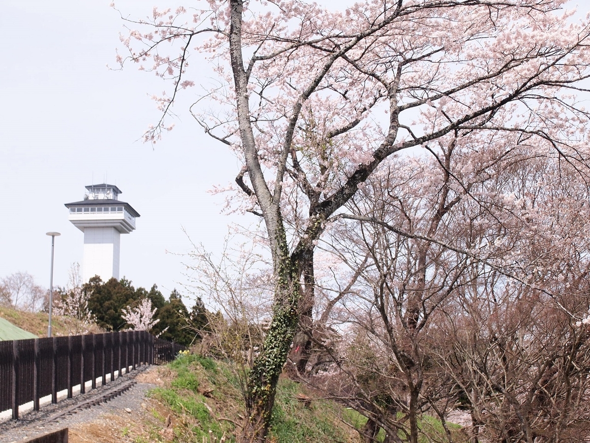 f:id:yama31183:20220413184620j:plain