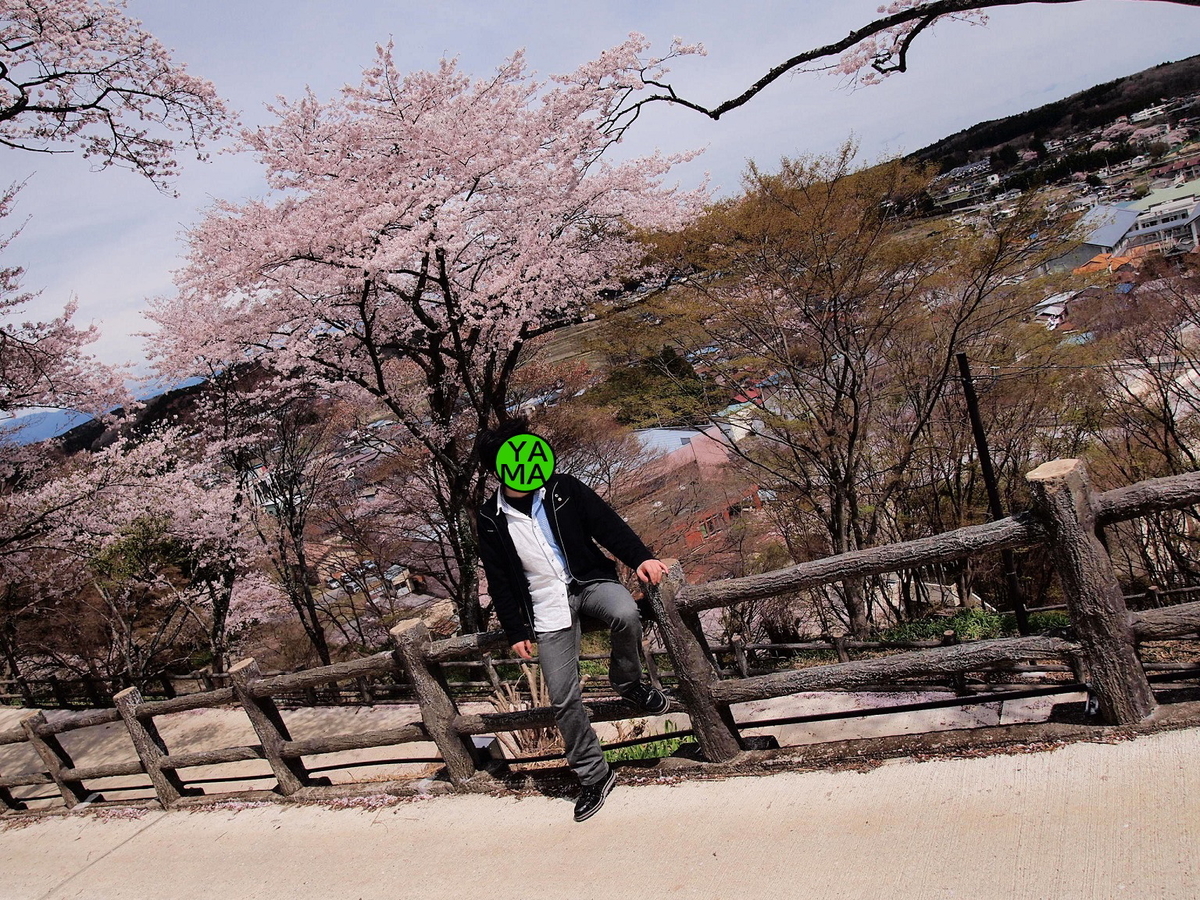 f:id:yama31183:20220413185413j:plain
