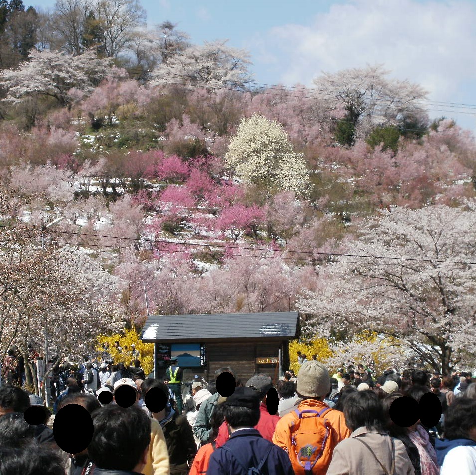 桜＊無言取引○様　確認用 桜＊無言取引○様 確認用 桜＊無言取引○様 確認用 桜＊無言取引○様