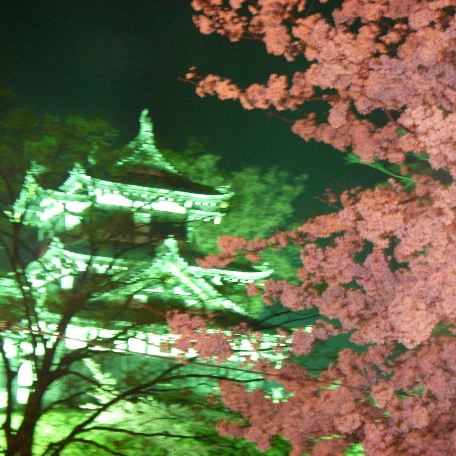 No.562【新潟県】日本三大夜桜「高田城址」！！昼も夜も模擬店も