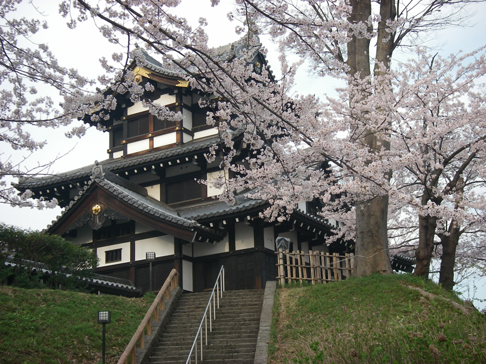 No.562【新潟県】日本三大夜桜「高田城址」！！昼も夜も模擬店も