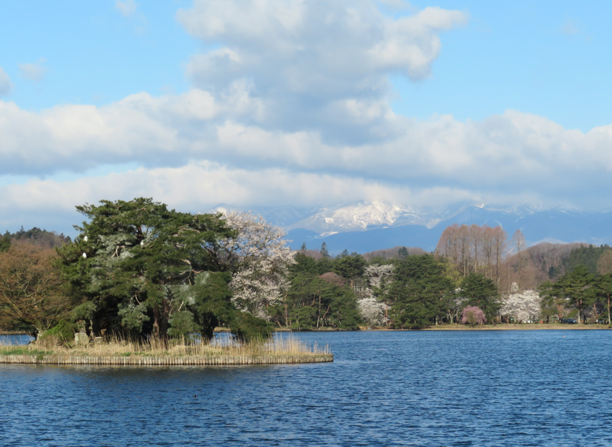 No.565【福島県】桜が見事な「白河小峰城」！日本一古い公園「南湖公園