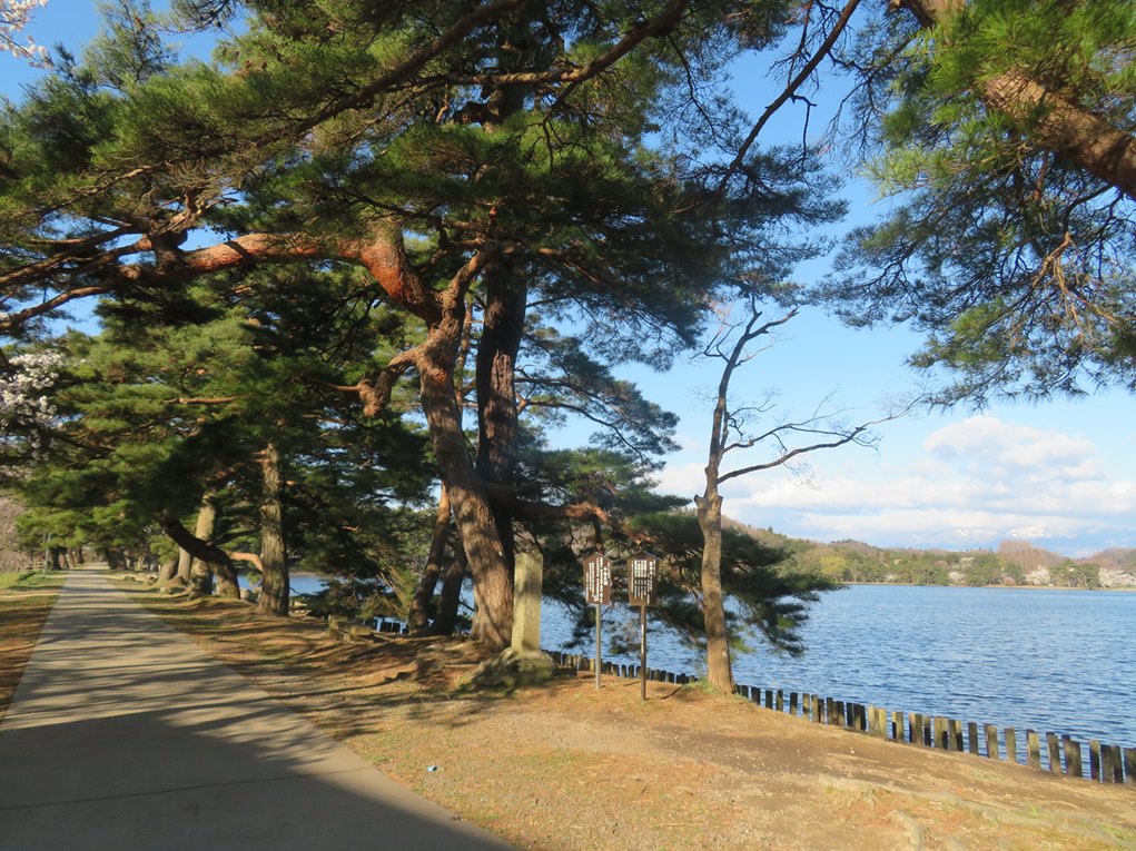 No.565【福島県】桜が見事な「白河小峰城」！日本一古い公園「南湖公園