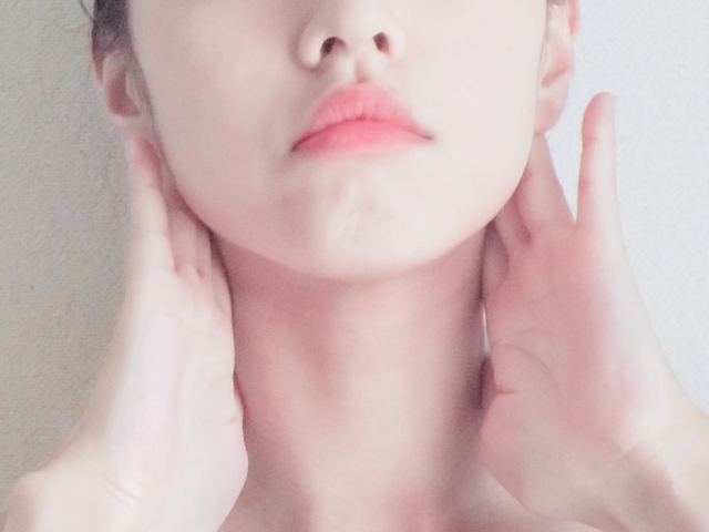 f:id:yama3434:20201127004130j:plain