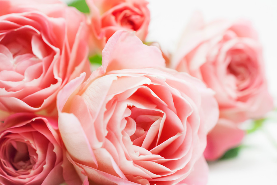 f:id:yama3434:20201217152848j:plain