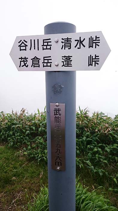 中 上級者向け谷川岳縦走 谷川岳 一ノ倉岳 茂倉岳 武能岳 蓬峠 虹芝寮 一ノ倉沢避難小屋 土合口 ７月 シニア女子の悠々登山blog