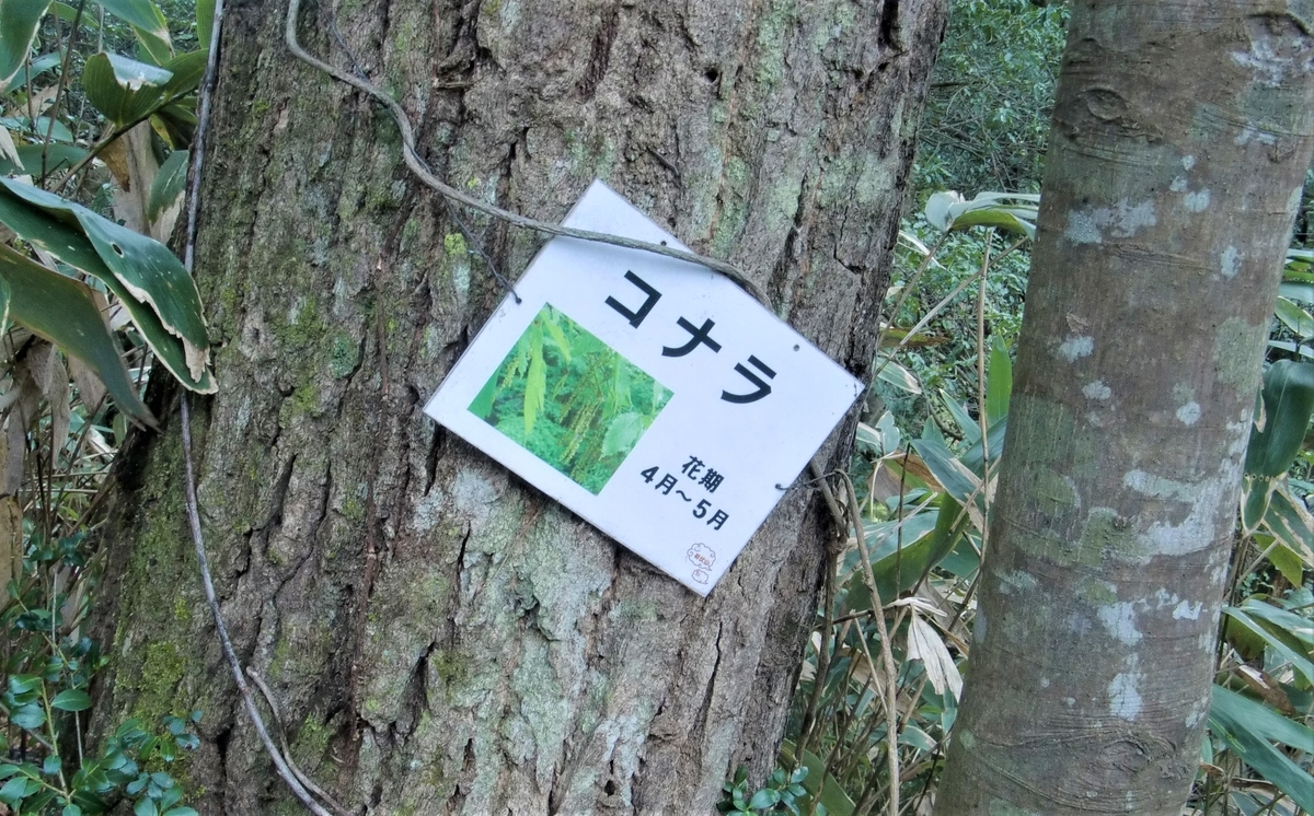 f:id:yama365:20200216092805j:plain f:id:yama365:20200216092805j:plain