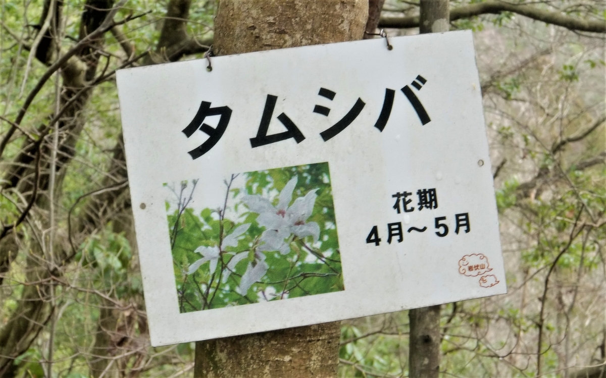 f:id:yama365:20200216093414j:plain f:id:yama365:20200216093414j:plain
