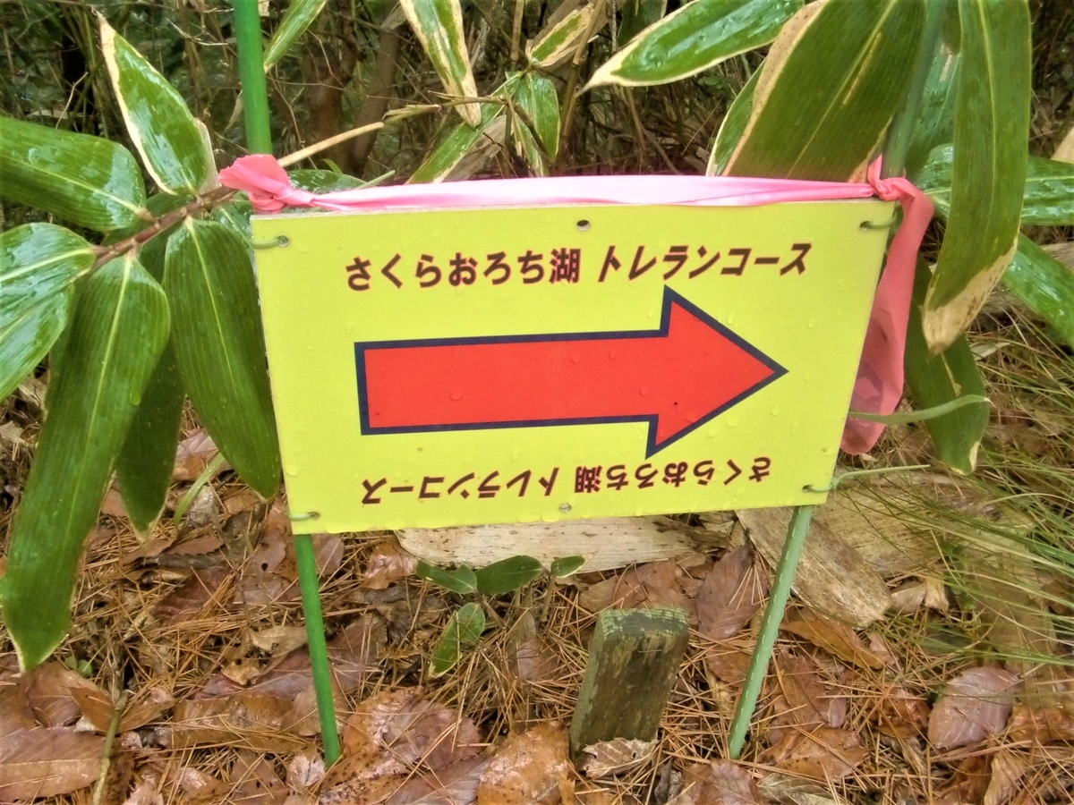 f:id:yama365:20200216103433j:plain f:id:yama365:20200216103433j:plain