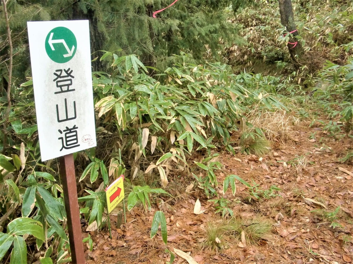 f:id:yama365:20200216103448j:plain f:id:yama365:20200216103448j:plain