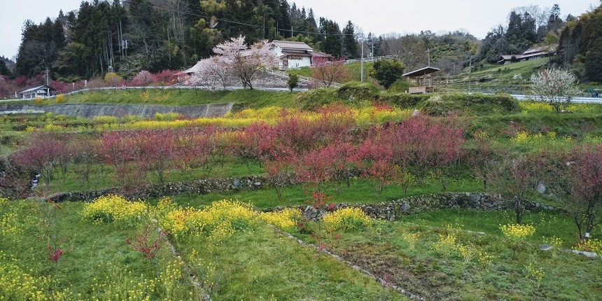 f:id:yama365:20200421144958j:plain f:id:yama365:20200421144958j:plain