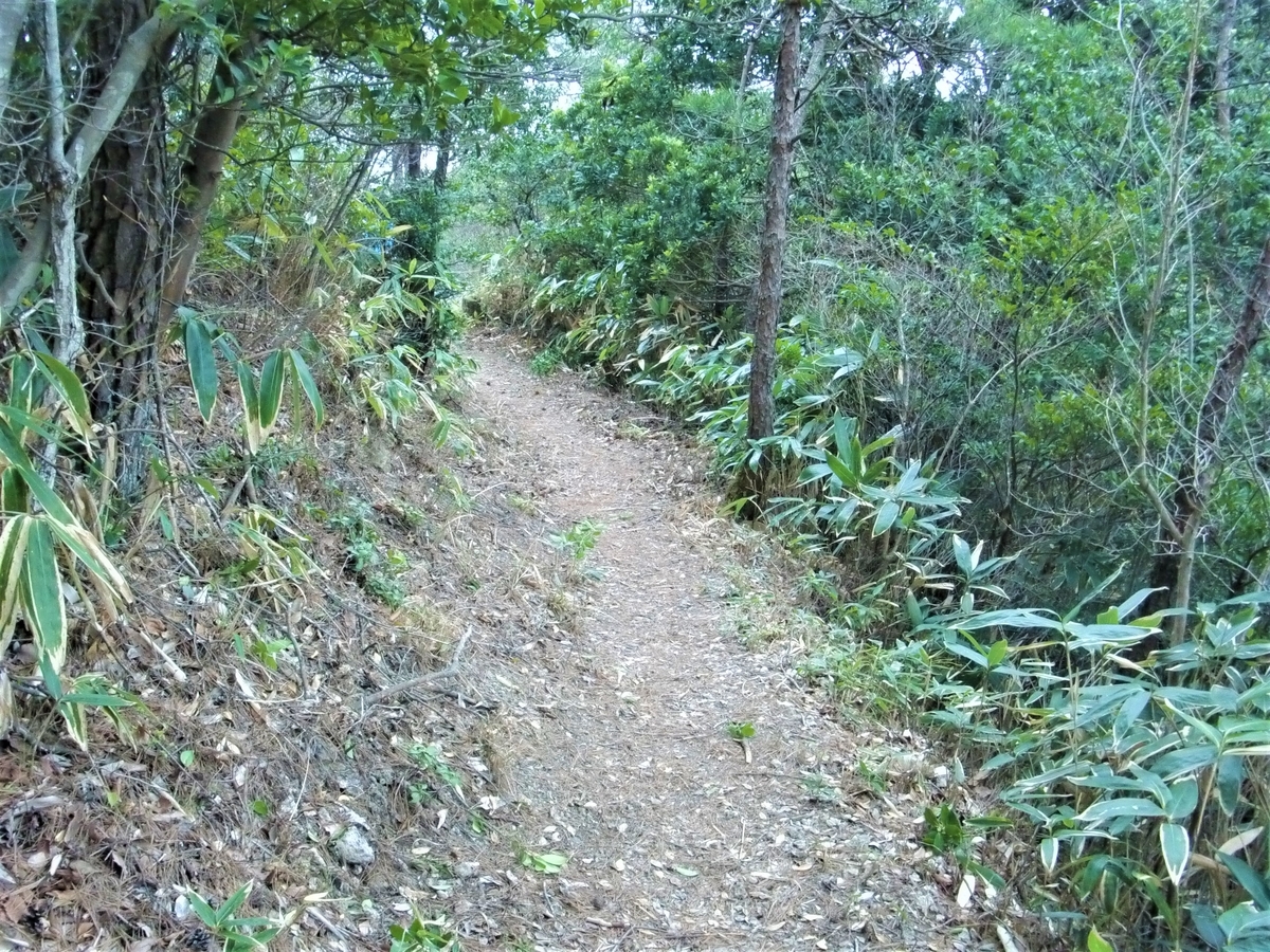 f:id:yama365:20200519160212j:plain f:id:yama365:20200519160212j:plain