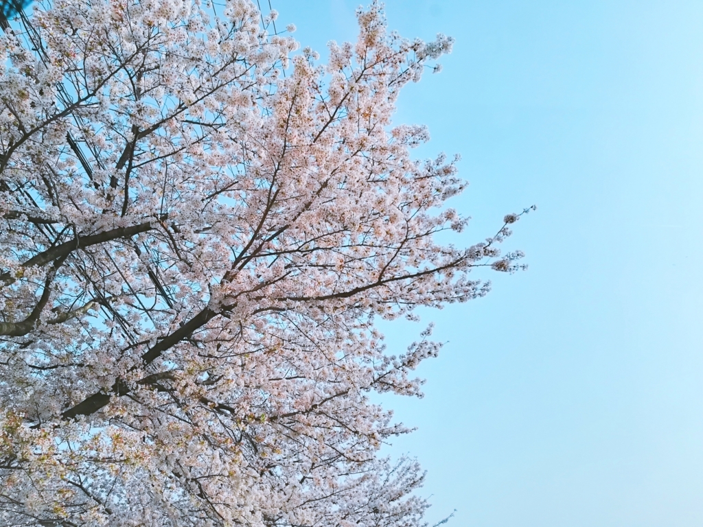 f:id:yama806:20180329174336j:plain