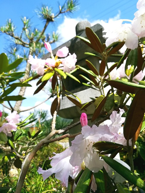 f:id:yama806:20180418175616j:image