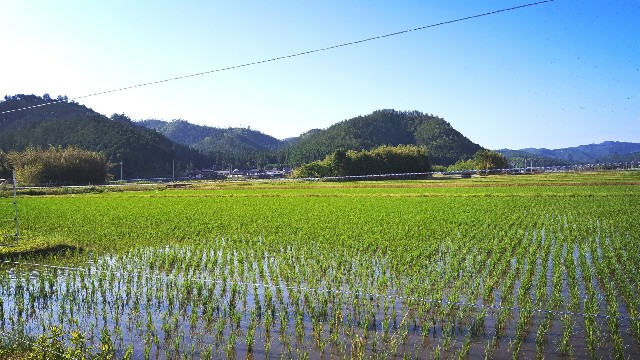 f:id:yama806:20180701161128j:image f:id:yama806:20180701161128j:image