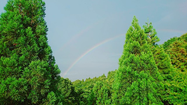 f:id:yama806:20180705165530j:image