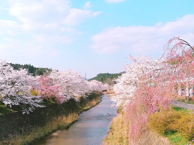 f:id:yama806:20180720125652j:image f:id:yama806:20180720125652j:image