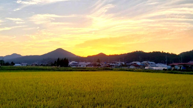 f:id:yama806:20181031161822j:image