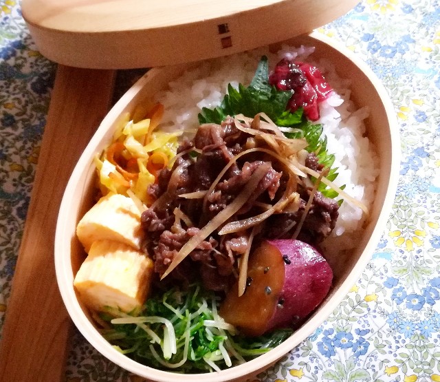 f:id:yama806:20190129132750j:image