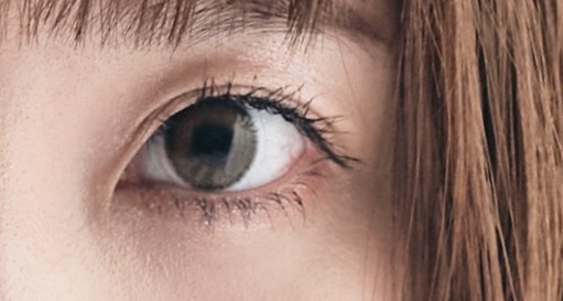 f:id:yama_ctan:20200708181835j:plain