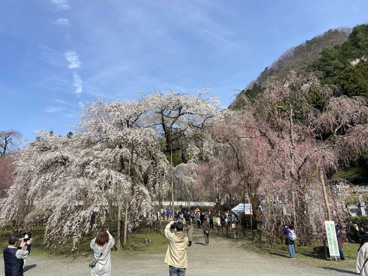 f:id:yama_shi:20220414181110j:plain