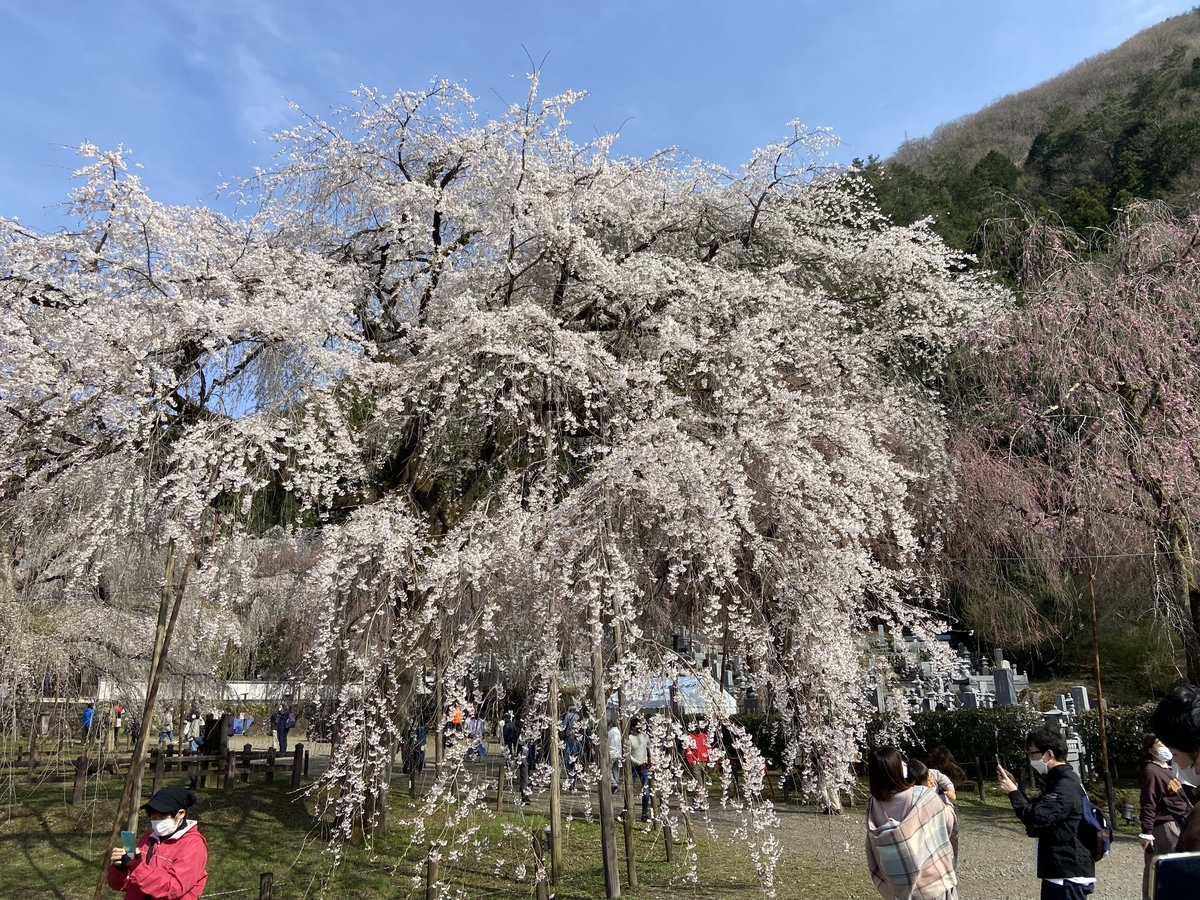 f:id:yama_shi:20220414181455j:plain