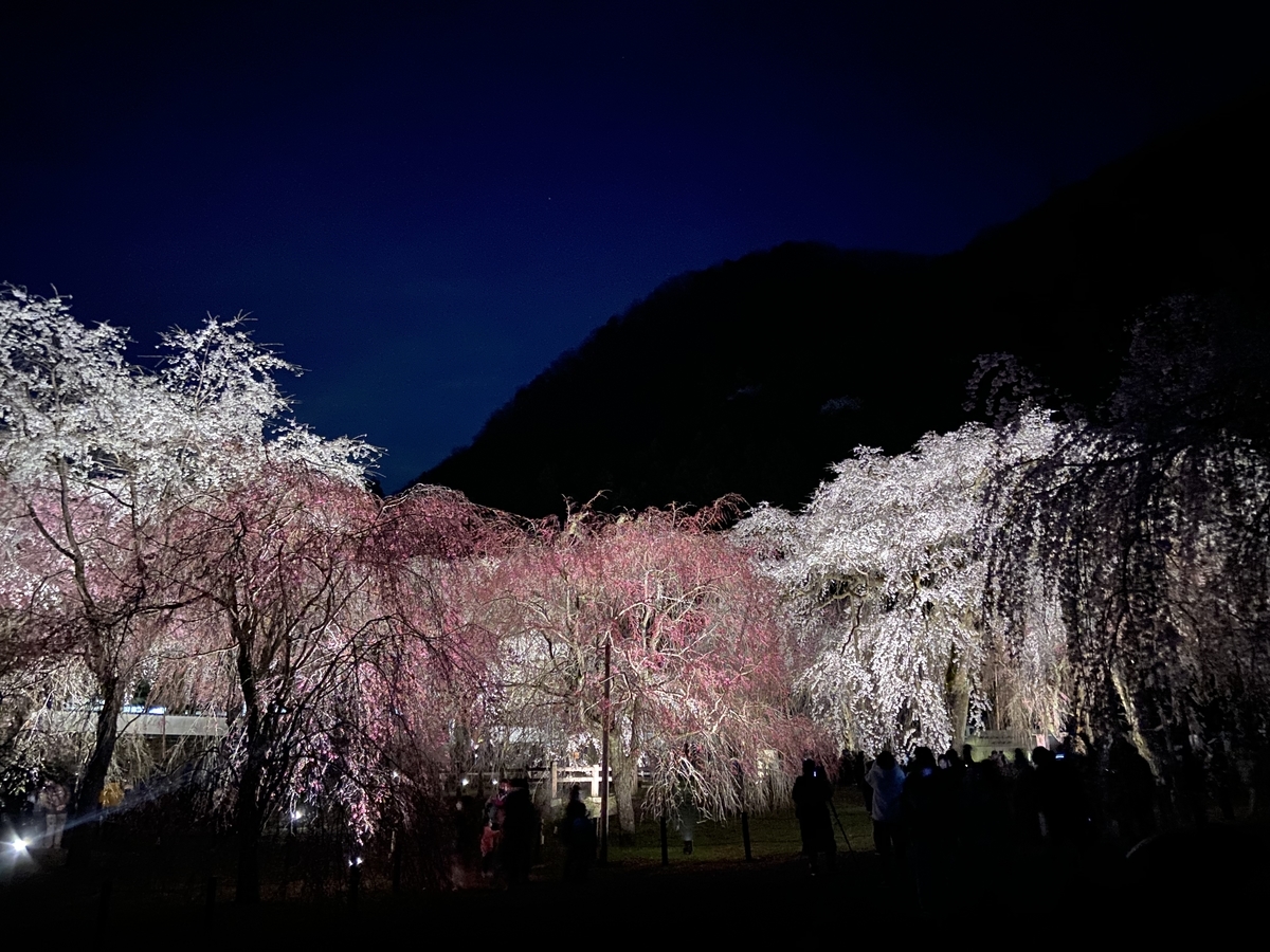 f:id:yama_shi:20220414182555j:plain