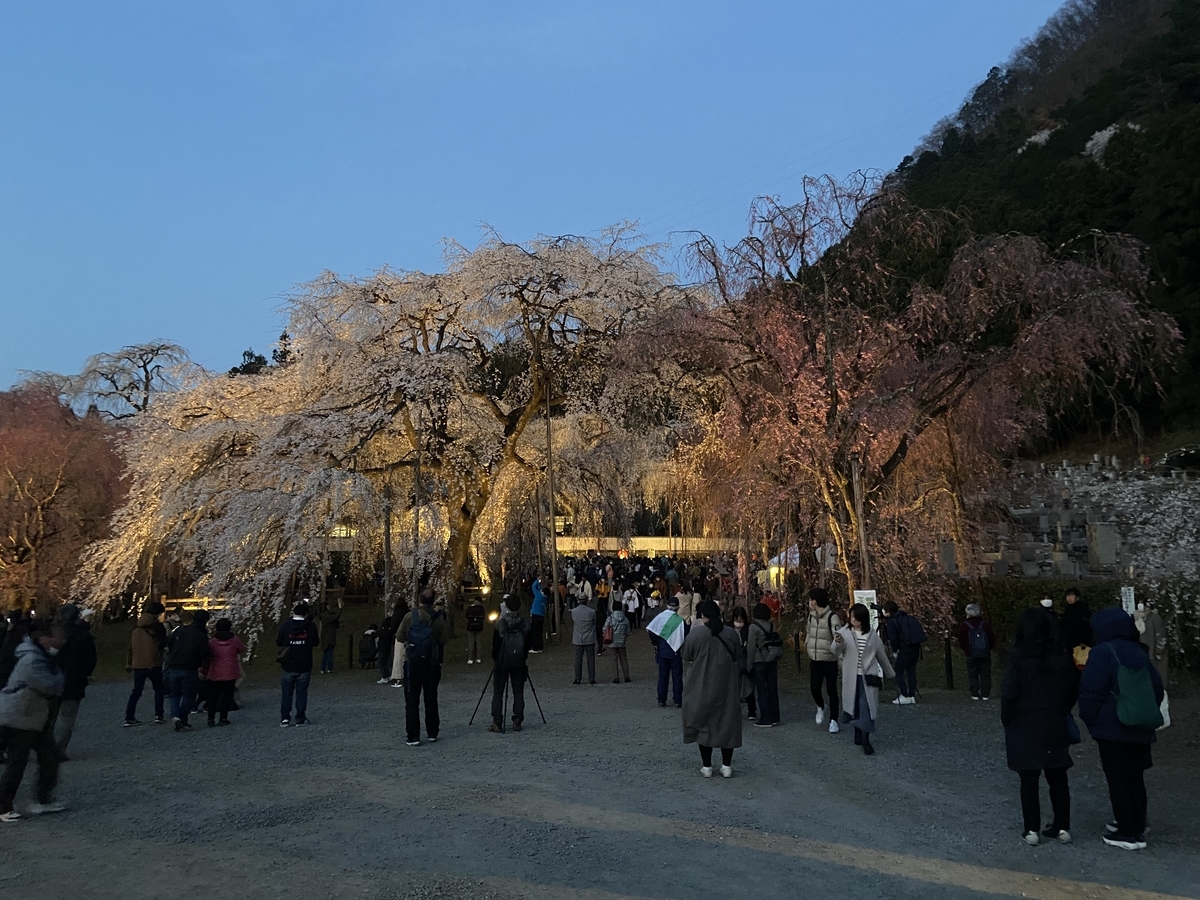 f:id:yama_shi:20220414182636j:plain