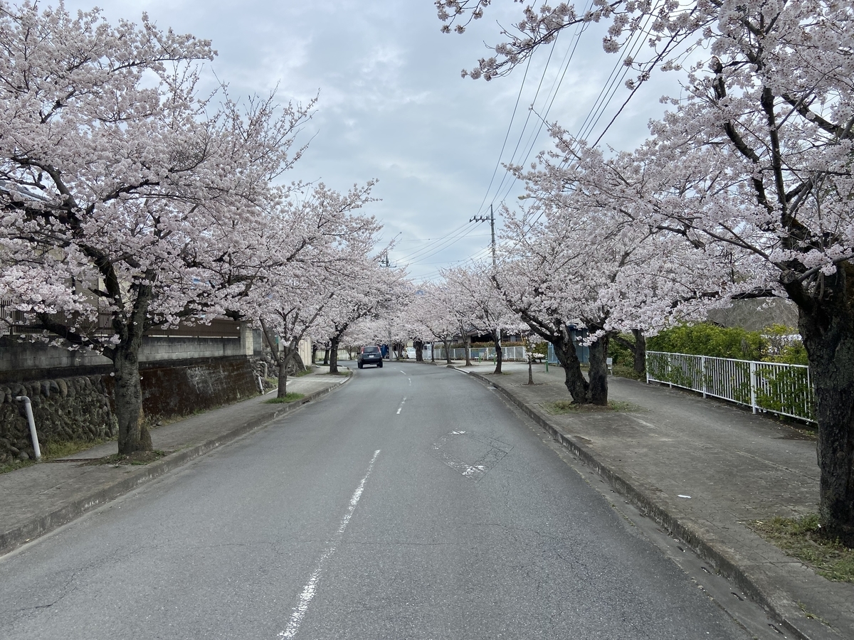 f:id:yama_shi:20220414231524j:plain