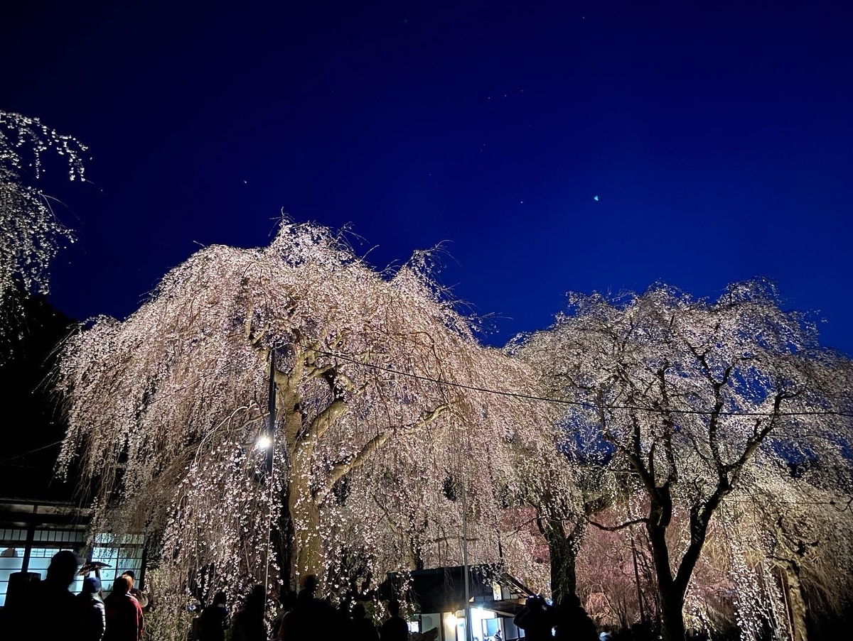 f:id:yama_shi:20220414234514j:plain