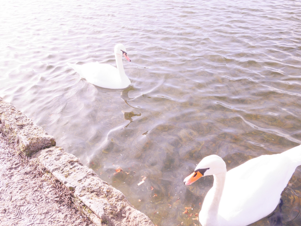 f:id:yamabatake:20170326160347j:plain f:id:yamabatake:20170326160347j:plain