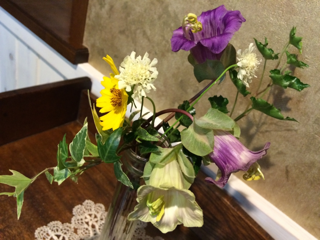 f:id:yamabatoo:20160803061625j:plain f:id:yamabatoo:20160803061625j:plain