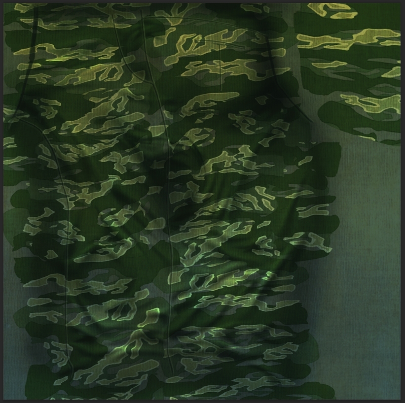 f:id:yamabatoo:20201205190642j:plain