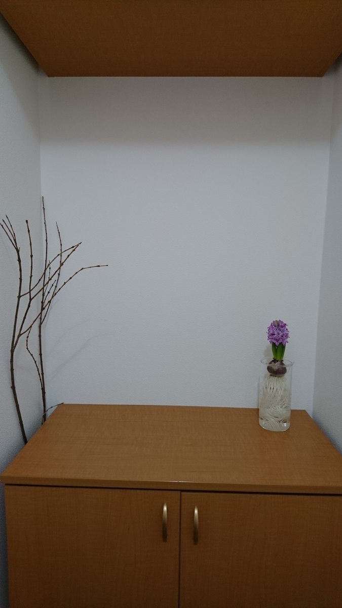 f:id:yamabikko:20200118104837j:plain f:id:yamabikko:20200118104837j:plain