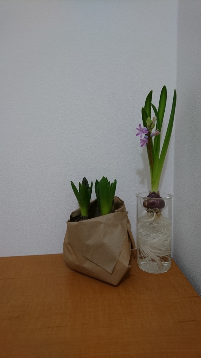f:id:yamabikko:20200222193628j:plain f:id:yamabikko:20200222193628j:plain