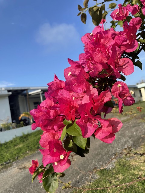 f:id:yamabiko222:20220515011802j:image f:id:yamabiko222:20220515011802j:image