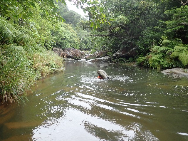 f:id:yamabiko222:20220515030448j:image f:id:yamabiko222:20220515030448j:image