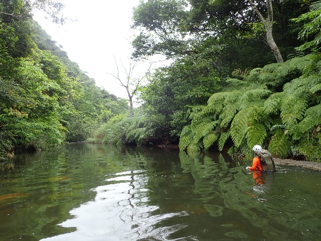 f:id:yamabiko222:20220515030656j:image f:id:yamabiko222:20220515030656j:image