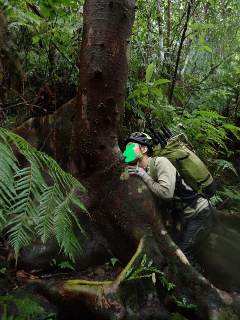 f:id:yamabiko222:20220515215357j:image f:id:yamabiko222:20220515215357j:image