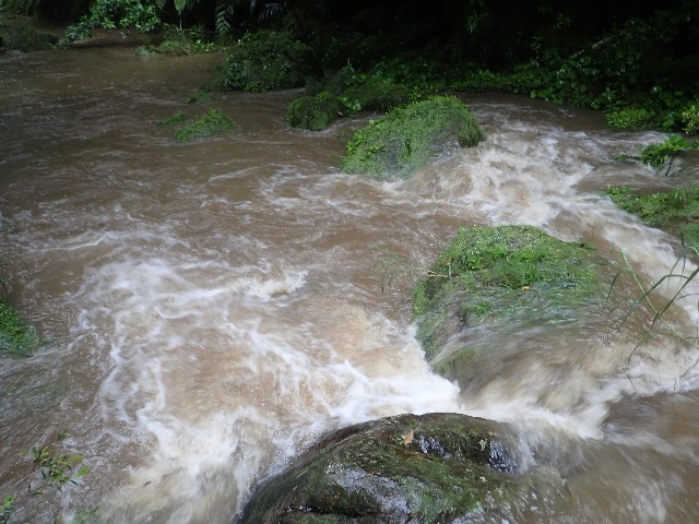 f:id:yamabiko222:20220515215935j:image f:id:yamabiko222:20220515215935j:image