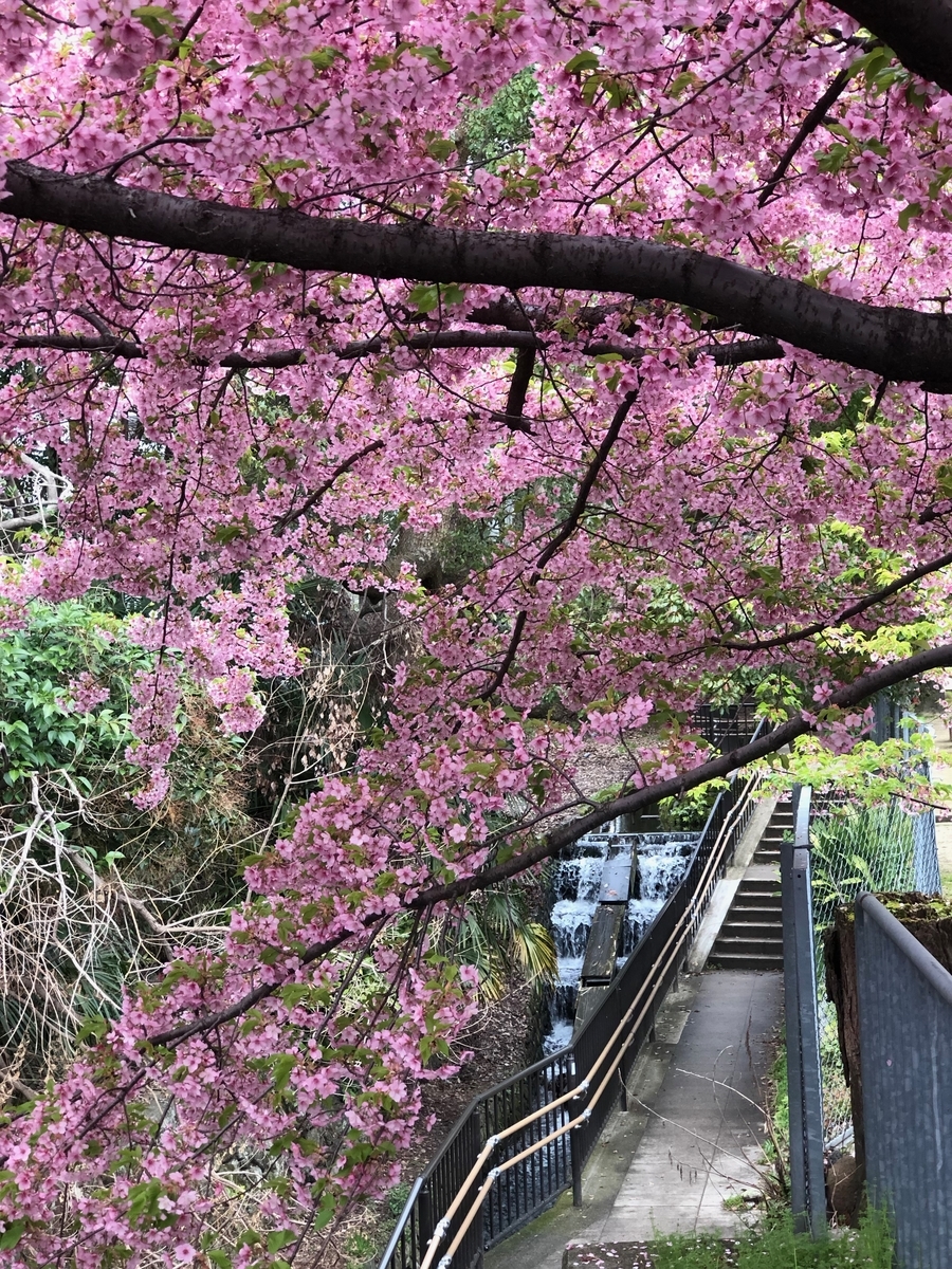 f:id:yamabito5723:20190321173958j:plain
