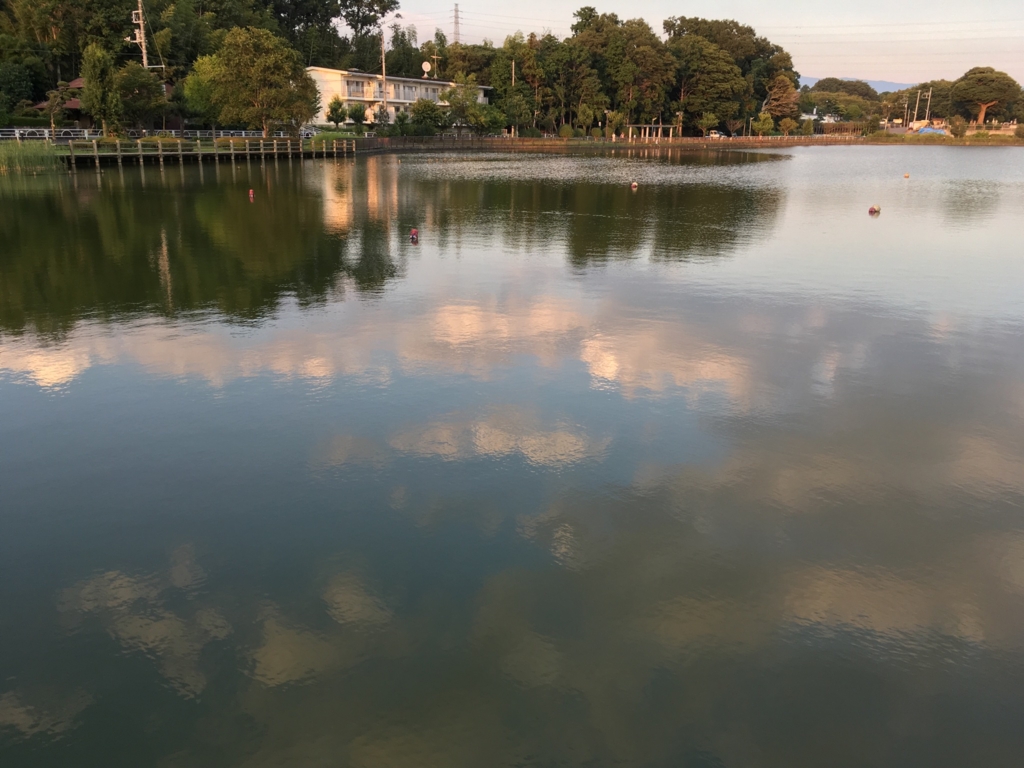 f:id:yamaboushitan:20160910221621j:plain f:id:yamaboushitan:20160910221621j:plain