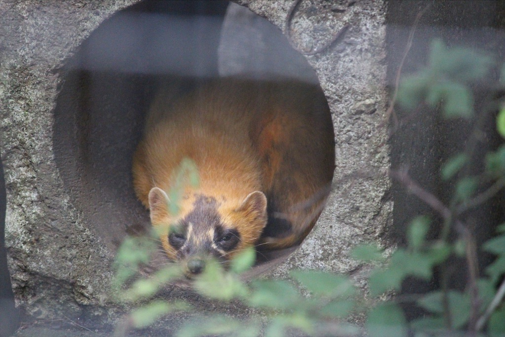 f:id:yamabuki61gou:20210911103504j:image f:id:yamabuki61gou:20210911103504j:image