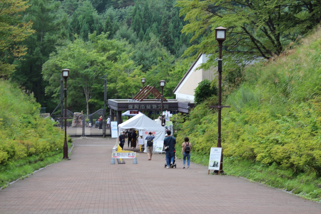 f:id:yamabuki61gou:20210911103510j:image f:id:yamabuki61gou:20210911103510j:image