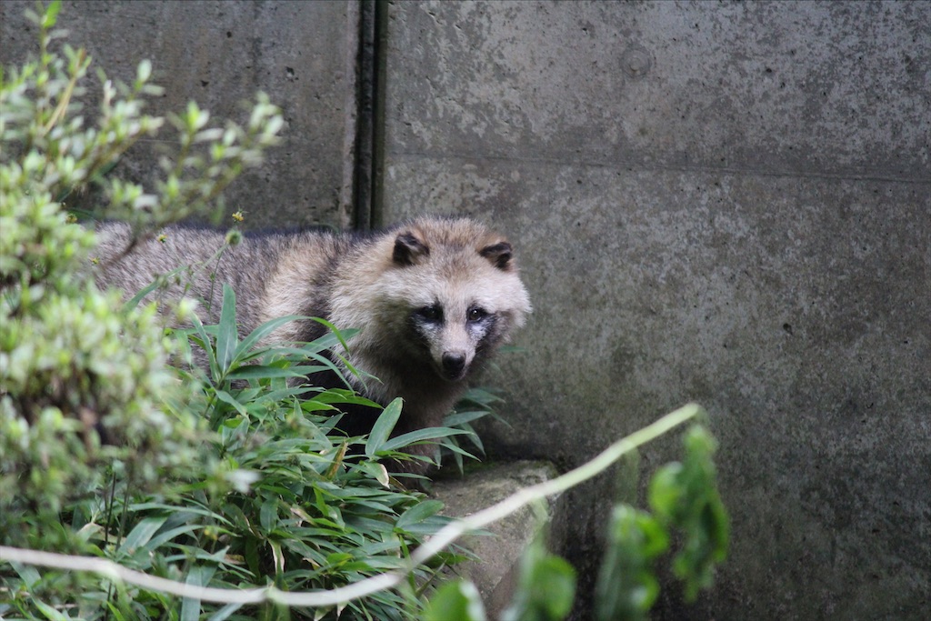 f:id:yamabuki61gou:20210911103512j:image f:id:yamabuki61gou:20210911103512j:image