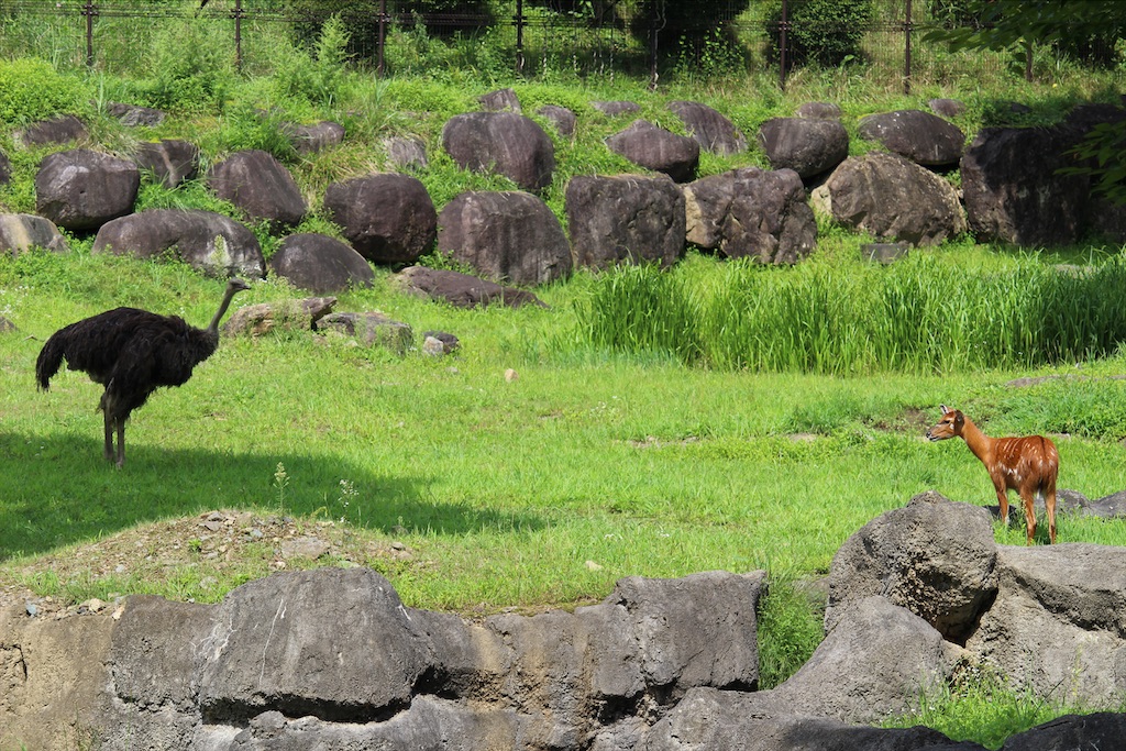 f:id:yamabuki61gou:20210912092440j:image f:id:yamabuki61gou:20210912092440j:image