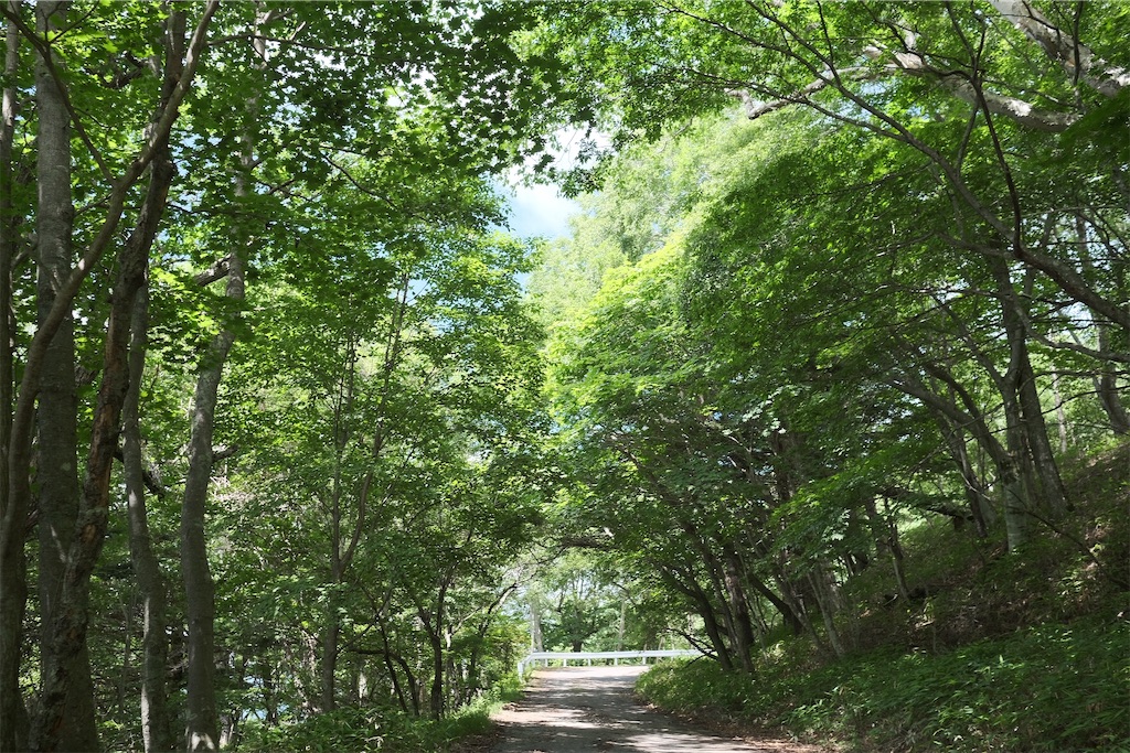 f:id:yamacamHN:20200723212716j:image f:id:yamacamHN:20200723212716j:image