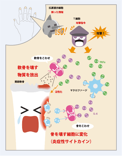 f:id:yamacb:20210107195210p:image
