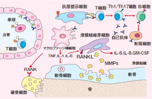 f:id:yamacb:20210107195306j:image